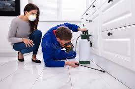 Best Real Estate Pest Inspections  in Scott, LA